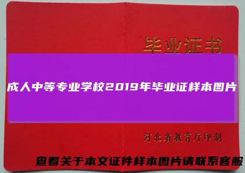 成人中等专业学校2019年毕业证样本图片