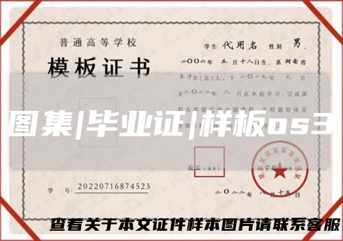 图集|毕业证|样板os3