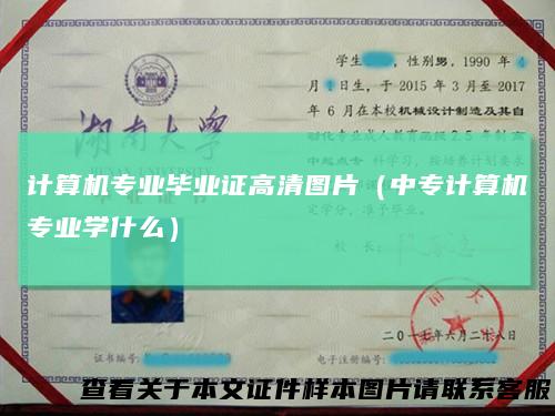 计算机专业毕业证高清图片(中专计算机专业学什么)