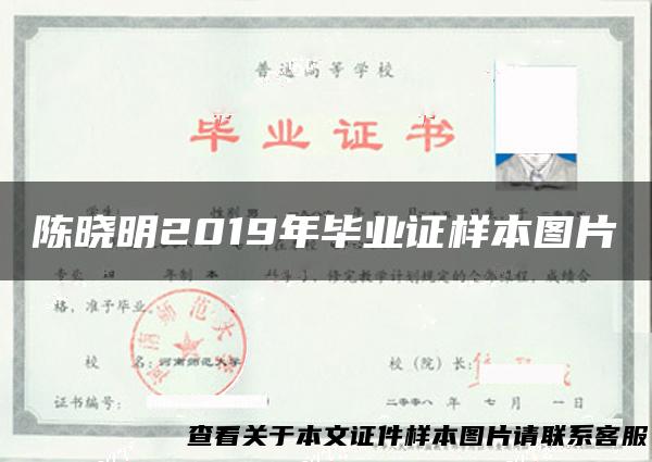 陈晓明2019年毕业证样本图片