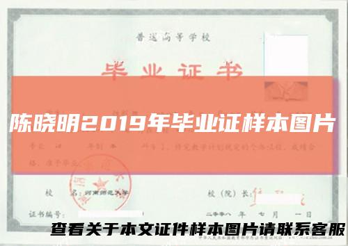 陈晓明2019年毕业证样本图片