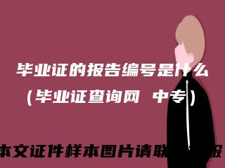 毕业证的报告编号是什么（毕业证查询网 中专）