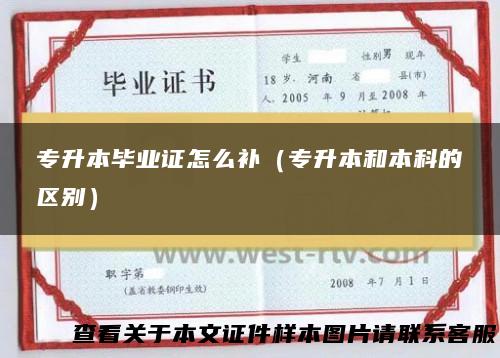 专升本毕业证怎么补（专升本和本科的区别）