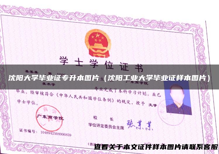 沈阳大学毕业证专升本图片（沈阳工业大学毕业证样本图片）