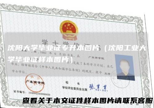 沈阳大学毕业证专升本图片（沈阳工业大学毕业证样本图片）