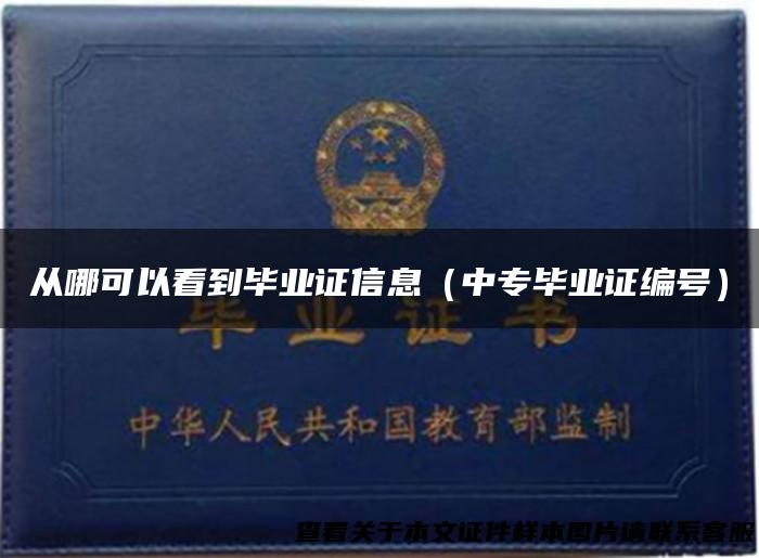 从哪可以看到毕业证信息（中专毕业证编号）