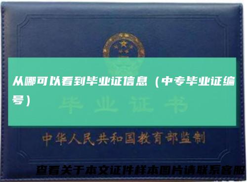 从哪可以看到毕业证信息(中专毕业证编号)