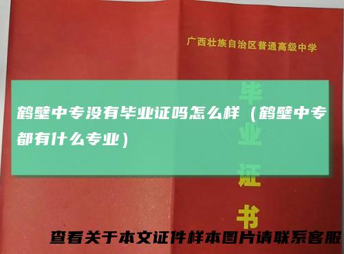 鹤壁中专没有毕业证吗怎么样（鹤壁中专都有什么专业）