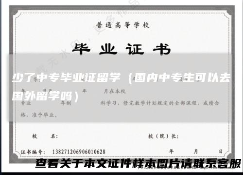 少了中专毕业证留学（国内中专生可以去国外留学吗）