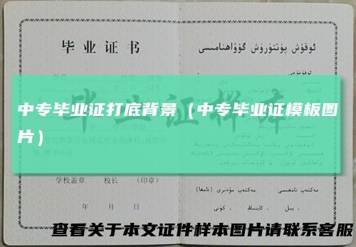 中专毕业证打底背景（中专毕业证模板图片）