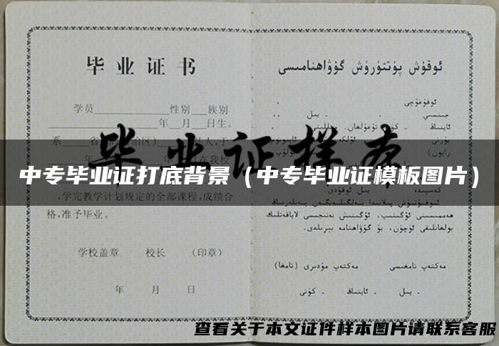 中专毕业证打底背景（中专毕业证模板图片）
