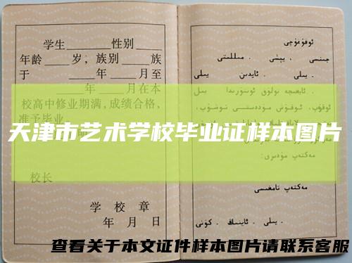 天津市艺术学校毕业证样本图片