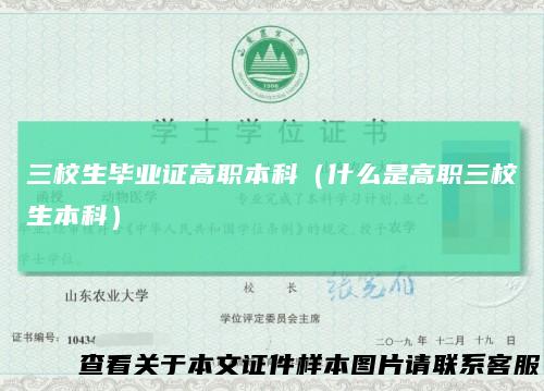 三校生毕业证高职本科（什么是高职三校生本科）