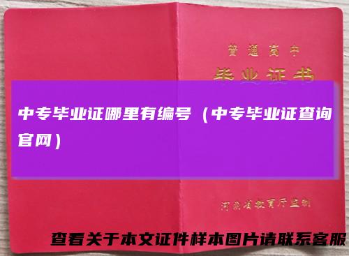 中专毕业证哪里有编号（中专毕业证查询官网）