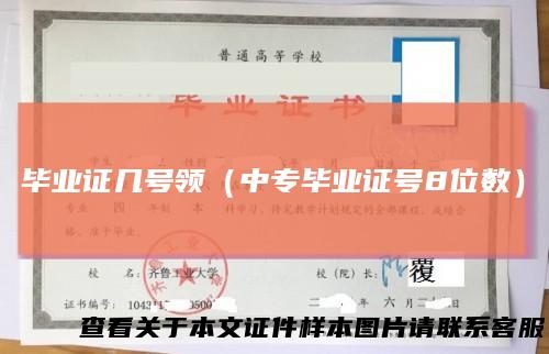 毕业证几号领（中专毕业证号8位数）