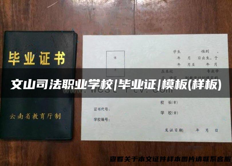文山司法职业学校|毕业证|模板(样板)