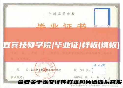 宜宾技师学院|毕业证|样板(模板)