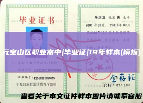 元宝山区职业高中|毕业证|19年样本(模板)