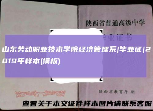 山东劳动职业技术学院经济管理系|毕业证|2019年样本(模板)