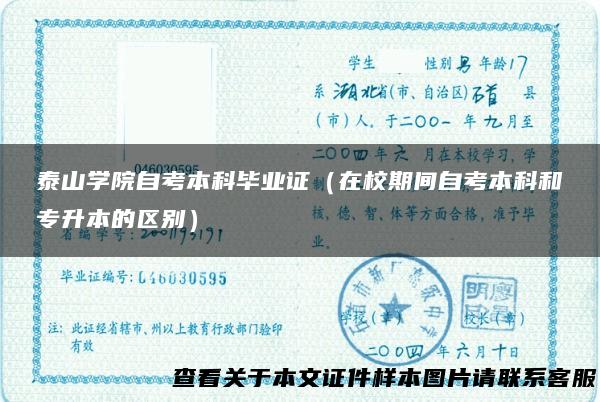 泰山学院自考本科毕业证（在校期间自考本科和专升本的区别）