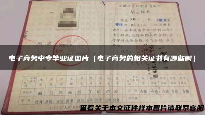 电子商务中专毕业证图片（电子商务的相关证书有哪些啊）