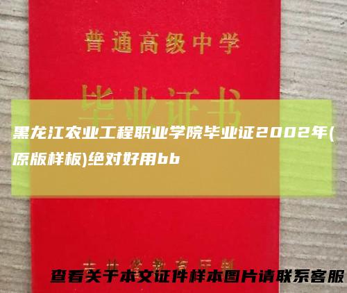 黑龙江农业工程职业学院毕业证2002年(原版样板)绝对好用bb