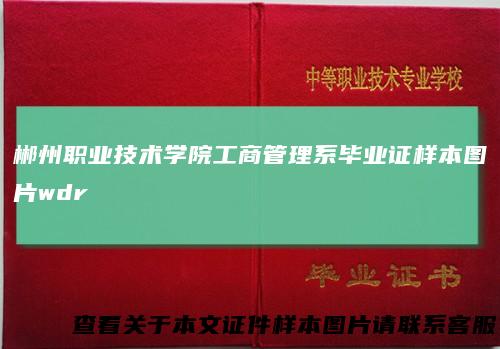 郴州职业技术学院工商管理系毕业证样本图片wdr