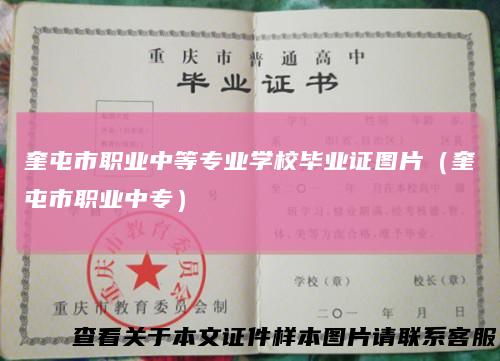 奎屯市职业中等专业学校毕业证图片（奎屯市职业中专）