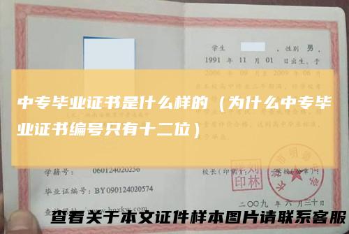 中专毕业证书是什么样的(为什么中专毕业证书编号只有十二位)