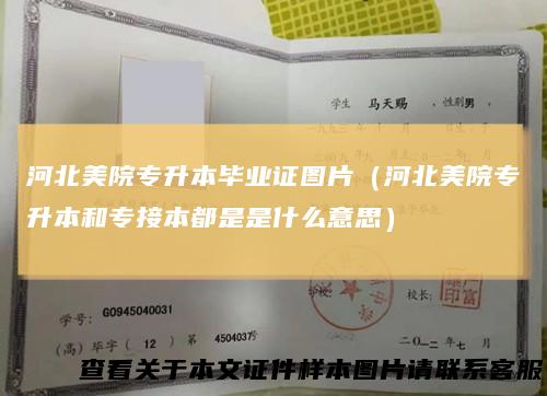 河北美院专升本毕业证图片（河北美院专升本和专接本都是是什么意思）
