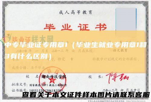 中专毕业证专用章1（毕业生就业专用章1和3有什么区别）