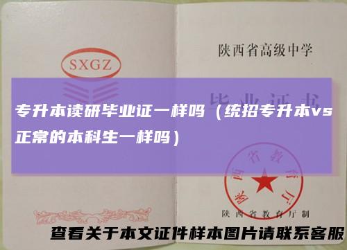 专升本读研毕业证一样吗（统招专升本vs正常的本科生一样吗）