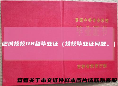 肥城技校08级毕业证(技校毕业证问题。)