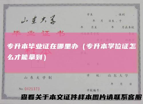 专升本毕业证在哪里办（专升本学位证怎么才能拿到）