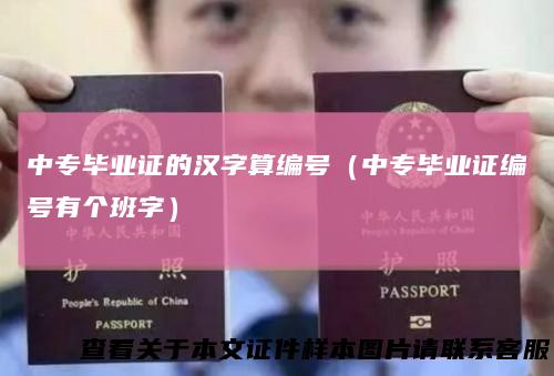 中专毕业证的汉字算编号(中专毕业证编号有个班字)