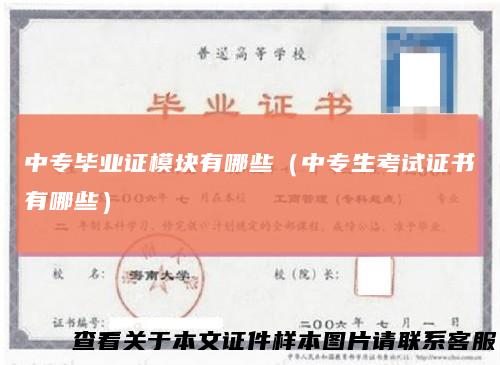 中专毕业证模块有哪些(中专生考试证书有哪些)