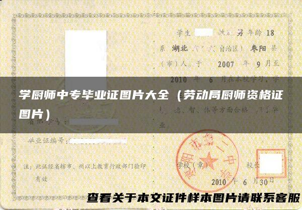学厨师中专毕业证图片大全（劳动局厨师资格证图片）