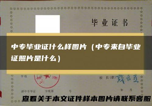 中专毕业证什么样图片（中专来自毕业证照片是什么）