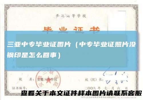 三亚中专毕业证图片（中专毕业证照片没钢印是怎么回事）