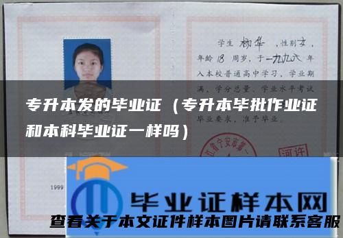 专升本发的毕业证（专升本毕批作业证和本科毕业证一样吗）