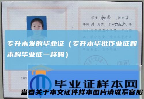 专升本发的毕业证（专升本毕批作业证和本科毕业证一样吗）