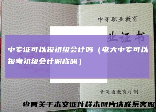 中专证可以报初级会计吗(电大中专可以报考初级会计职称吗)