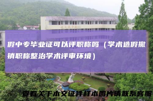 假中专毕业证可以评职称吗（学术造假撤销职称整治学术评审环境）