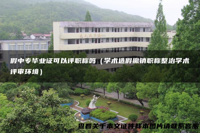 假中专毕业证可以评职称吗（学术造假撤销职称整治学术评审环境）