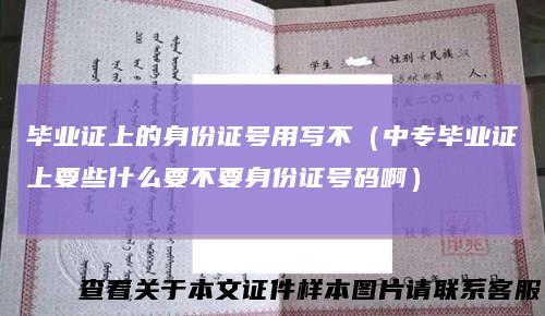 毕业证上的身份证号用写不（中专毕业证上要些什么要不要身份证号码啊）