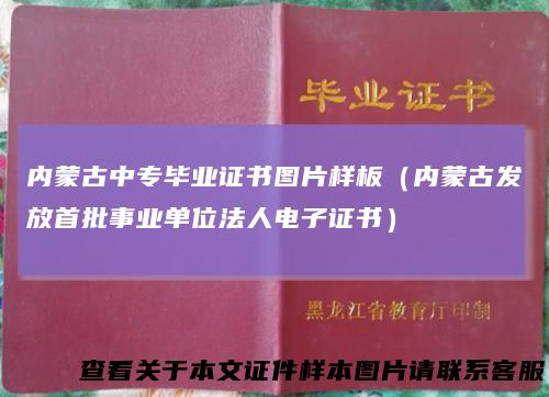 内蒙古中专毕业证书图片样板（内蒙古发放首批事业单位法人电子证书）