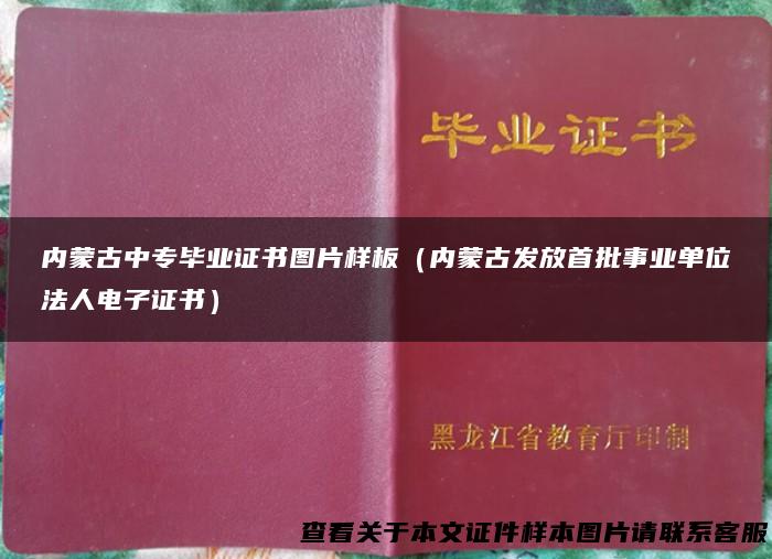 内蒙古中专毕业证书图片样板（内蒙古发放首批事业单位法人电子证书）