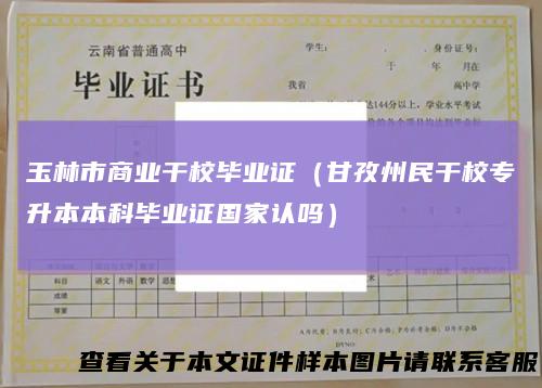 玉林市商业干校毕业证(甘孜州民干校专升本本科毕业证国家认吗)