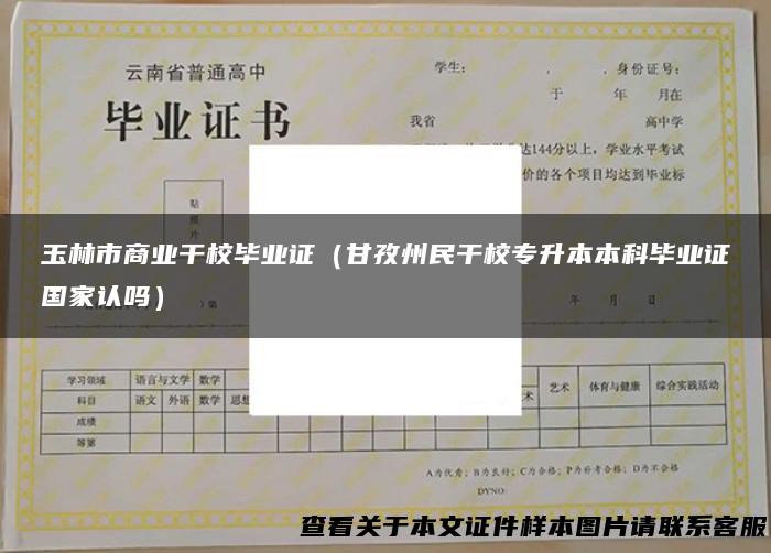 玉林市商业干校毕业证（甘孜州民干校专升本本科毕业证国家认吗）