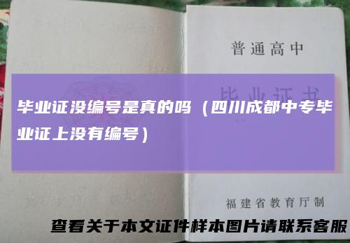 毕业证没编号是真的吗（四川成都中专毕业证上没有编号）
